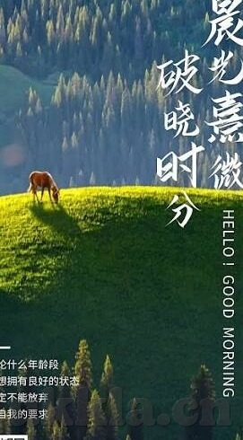 91传媒果冻-91传媒与果冻，跨界融合的创意新篇章