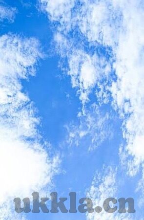 免费91麻豆视频-免费91麻豆视频，揭开其背后的真相与影响