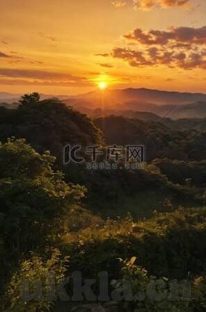 青青草成人在线视频网站-青青草，成人在线视频的绿色乐园